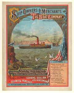 Ship Owners and Merchant Tug Boat Company MET DP835600