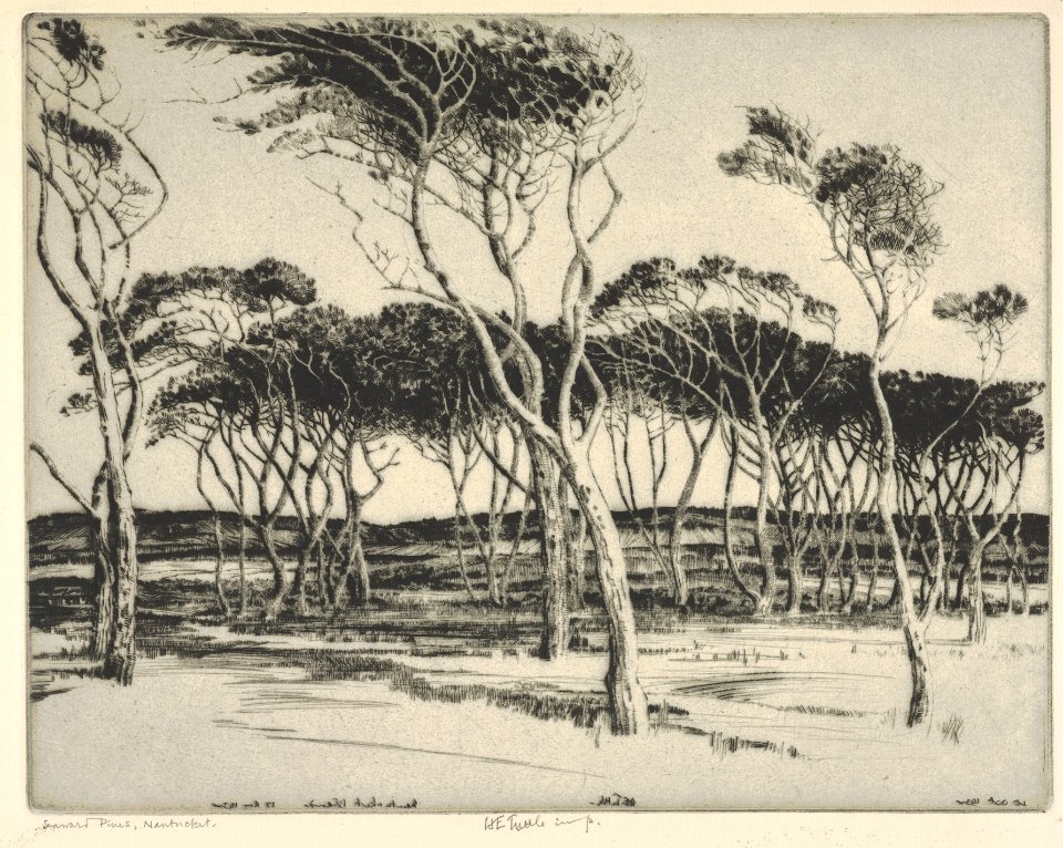 Seaward Pines, Nantucket MET DP832892
