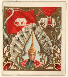 Siam, from the International Cards series (N238), issued by Kinney Bros. MET DPB875034