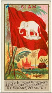 Siam, from Flags of All Nations, Series 1 (N9) for Allen & Ginter Cigarettes Brands MET DP841348