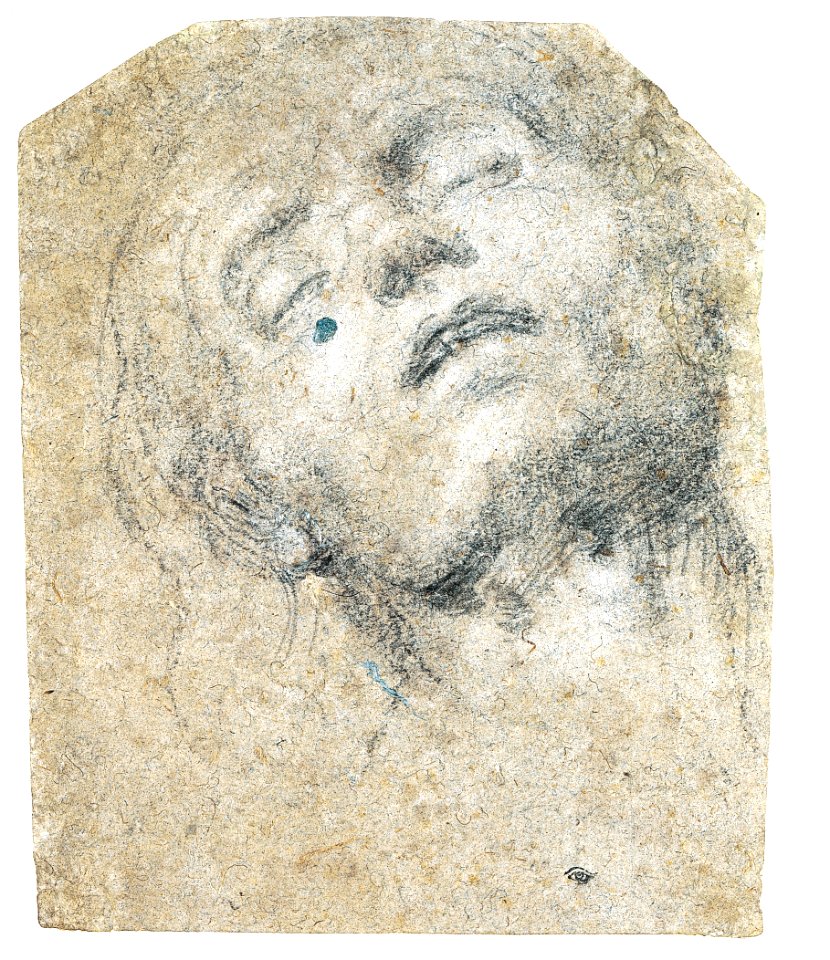 Study of a Head MET 46Q 120R2