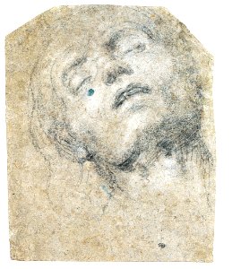 Study of a Head MET 46Q 120R2