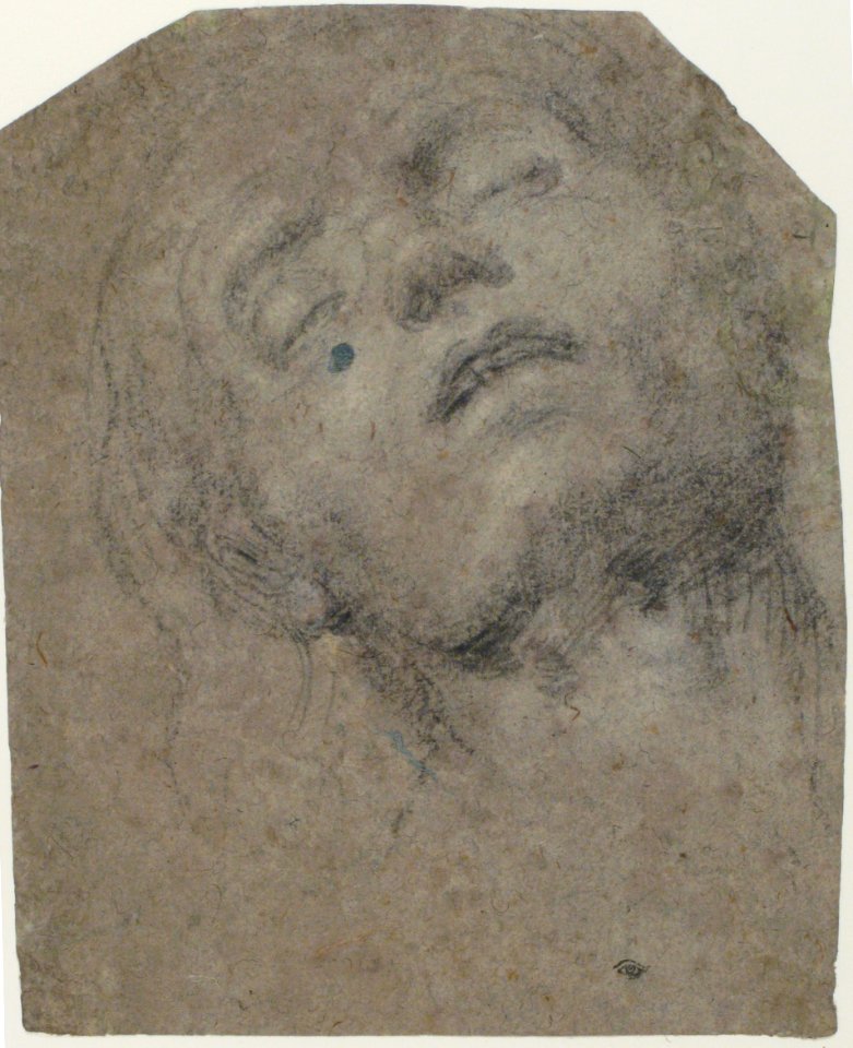 Study of a Head MET 1972.118.275