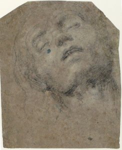 Study of a Head MET 1972.118.275