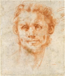 Study of a Man's Head MET DT4330