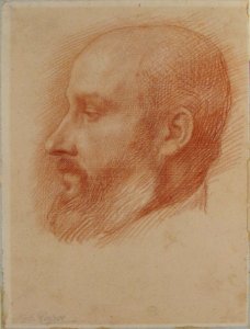 Study of a Head of a Man MET 92.13.19