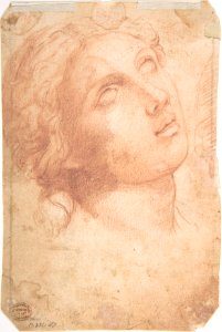 Study of a Seated Putto Looking at His Right (recto); A Woman's Head, Study after the Antique (verso) MET DP809042