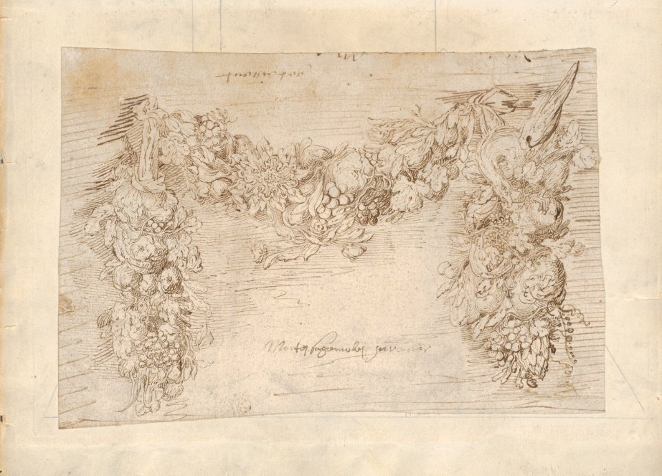Study of a Garland of Fruits and Vegetables MET DP-1715-002