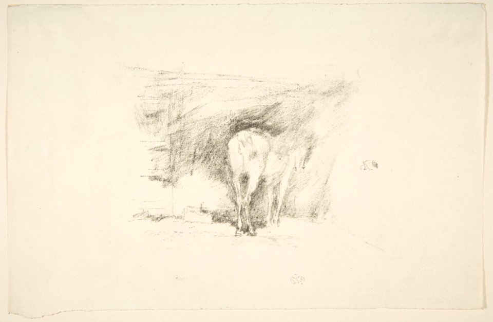 Study of a Horse MET DP814077