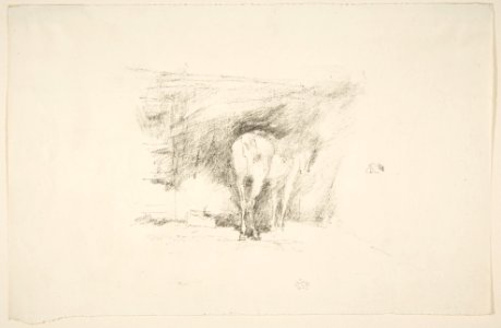 Study of a Horse MET DP814077
