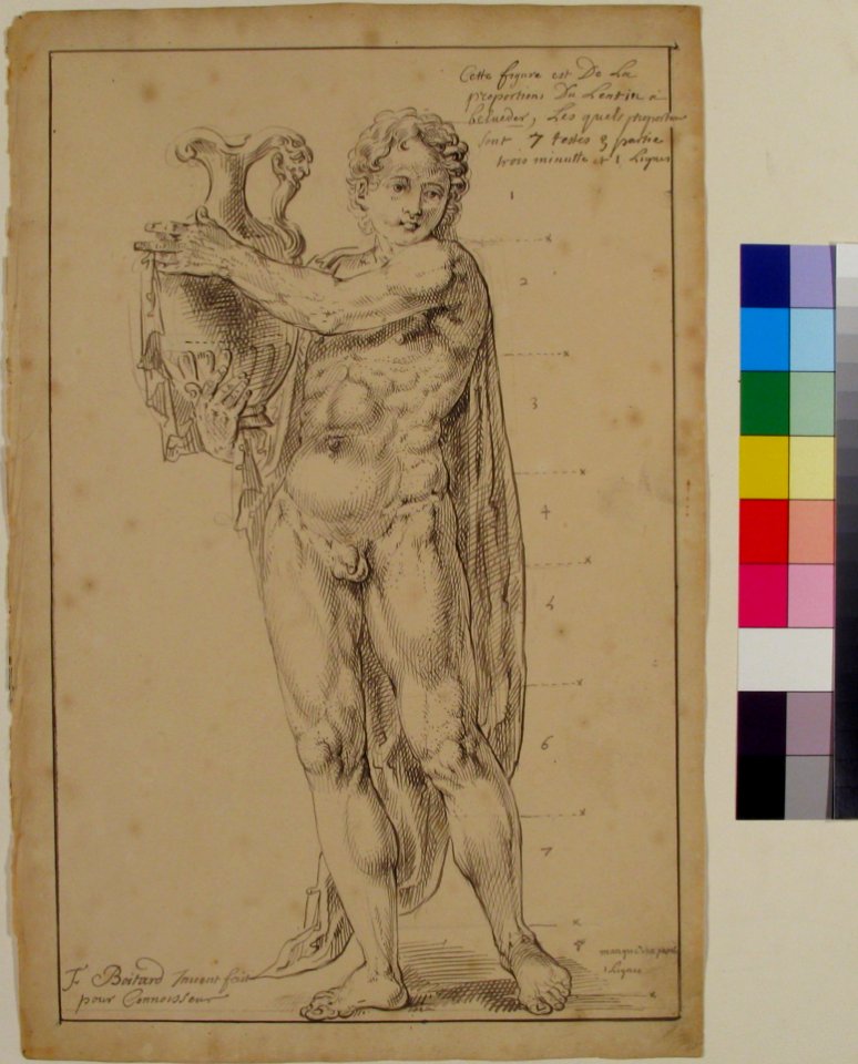 Study of a Male Figure Holding a Vessel (Apollo) MET 64.682.359