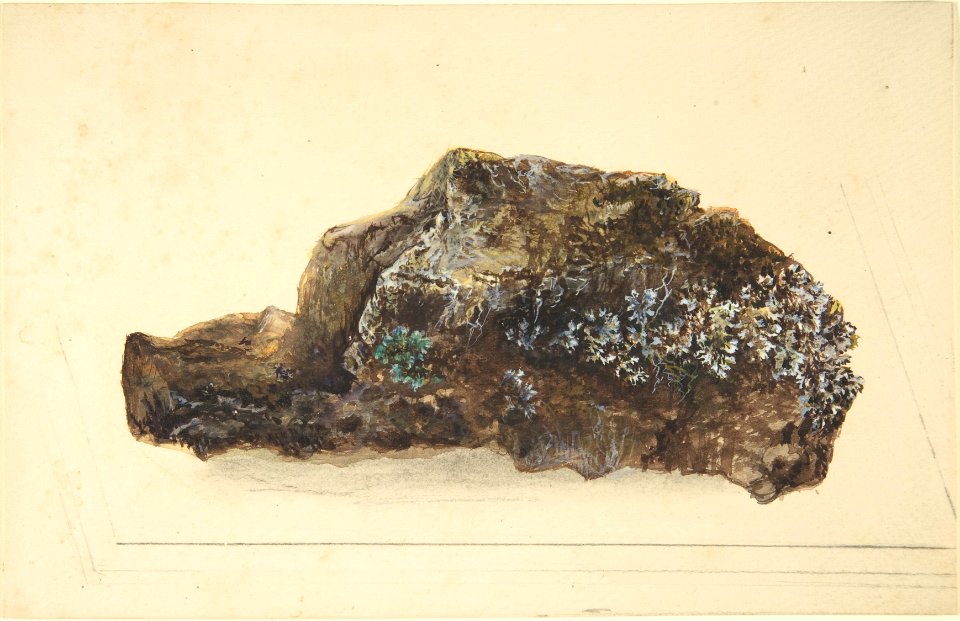 Study of a Rock MET DP806106
