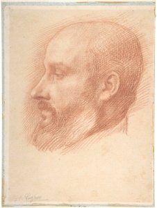 Study of a Head of a Man MET DP807247