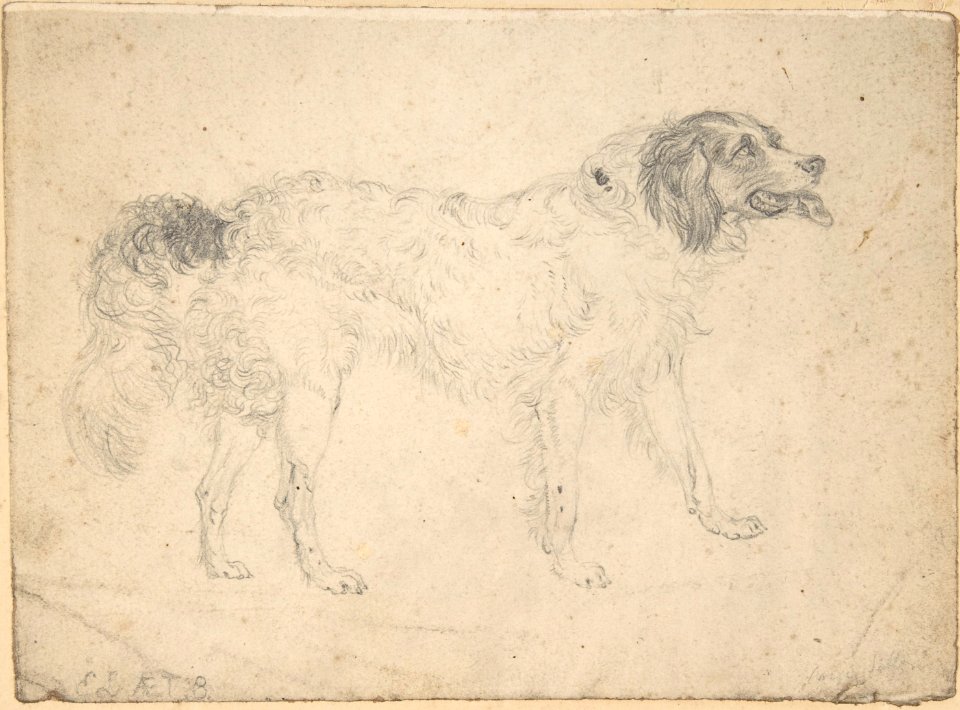 Study of a Dog Facing Right MET DP804687