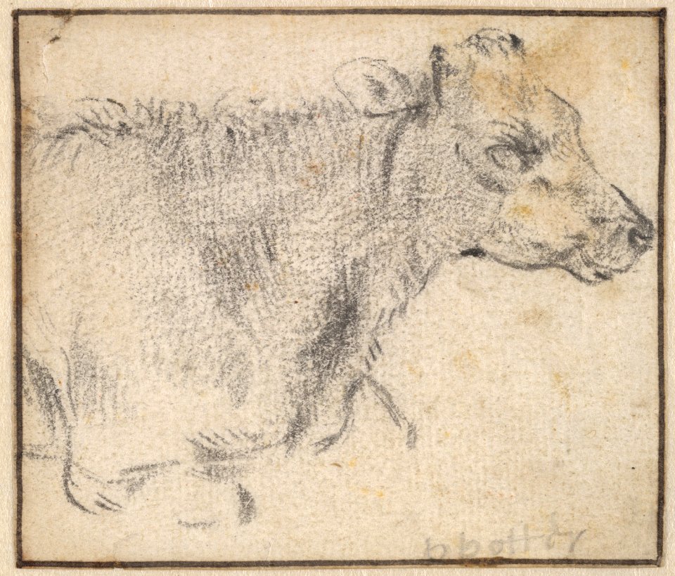 Study of a lying cow MET DP833930