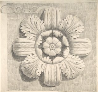 Study of a Classical Rosette MET DP805665