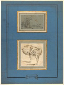 Study of a Cow MET DP835413