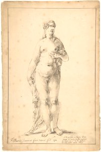 Study of a Female Figure (Venus) MET DP805221