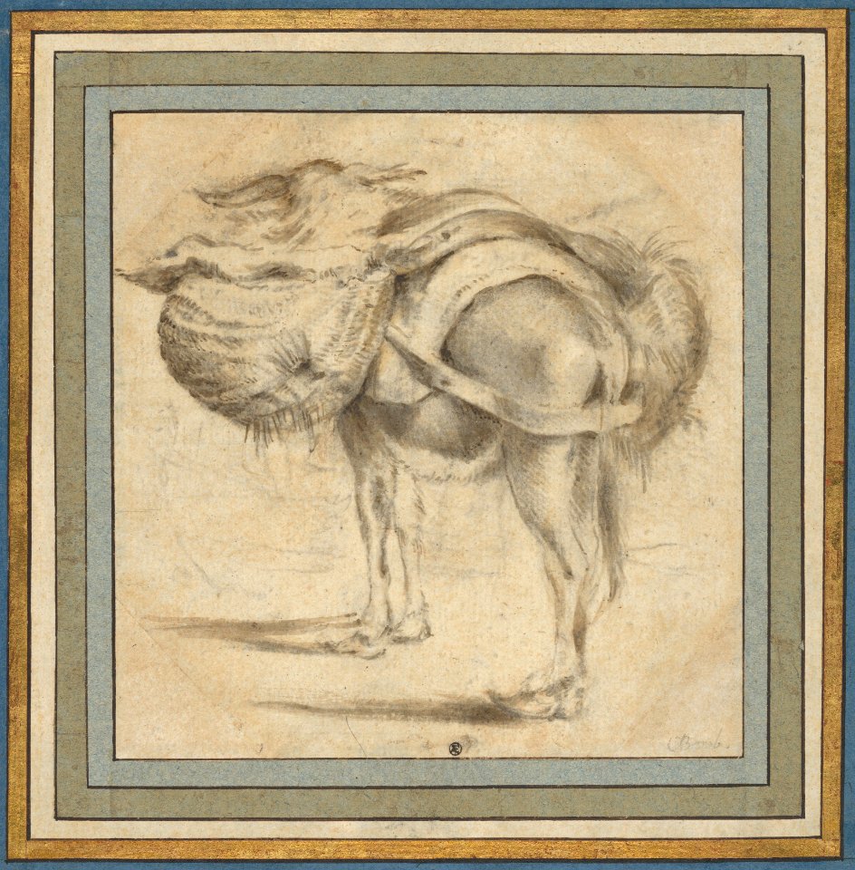 Study of a Donkey MET DP835419