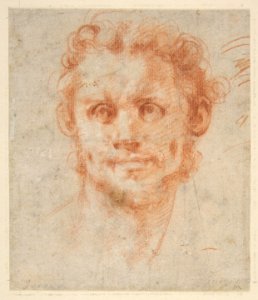 Study of a Man's Head MET DP811179
