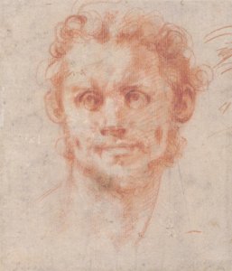 Study of a Man's Head MET 1998.361