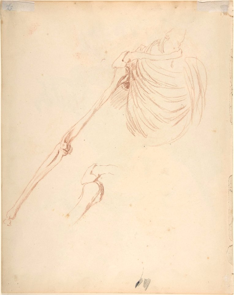 Study of a Female Dancer MET DP803807