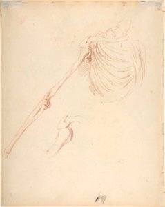 Study of a Female Dancer MET DP803807