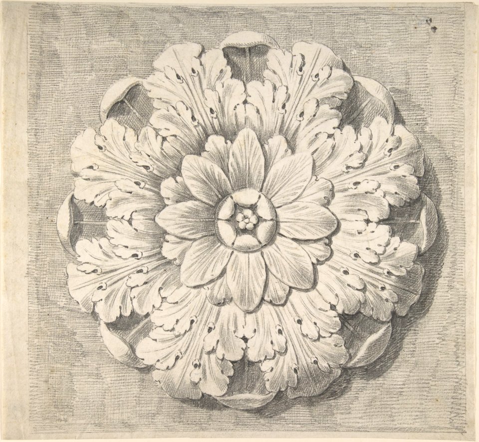 Study of a Classical Rosette MET DP805664