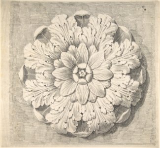 Study of a Classical Rosette MET DP805664
