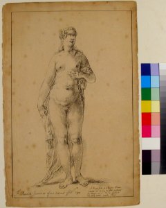 Study of a Female Figure (Venus) MET 64.682.360