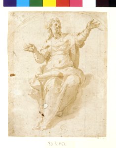 Study for the Ascension of the Virgin MET DR487