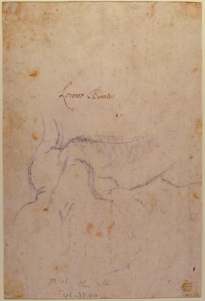 Study for a Triton (recto); Anatomical Studies ? (verso) MET 1973.265 VERSO