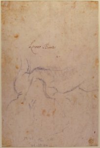 Study for a Triton (recto); Anatomical Studies ? (verso) MET 1973.265 VERSO