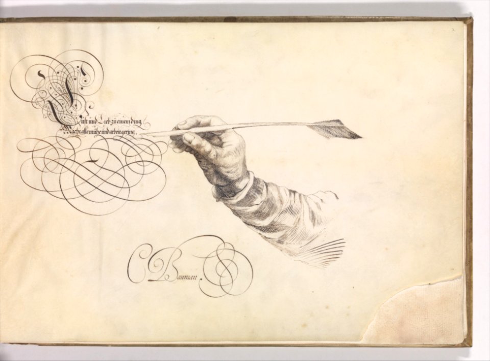 Specimens of Penmanship after Jan van de Velde and other Calligraphy Books MET DP372397