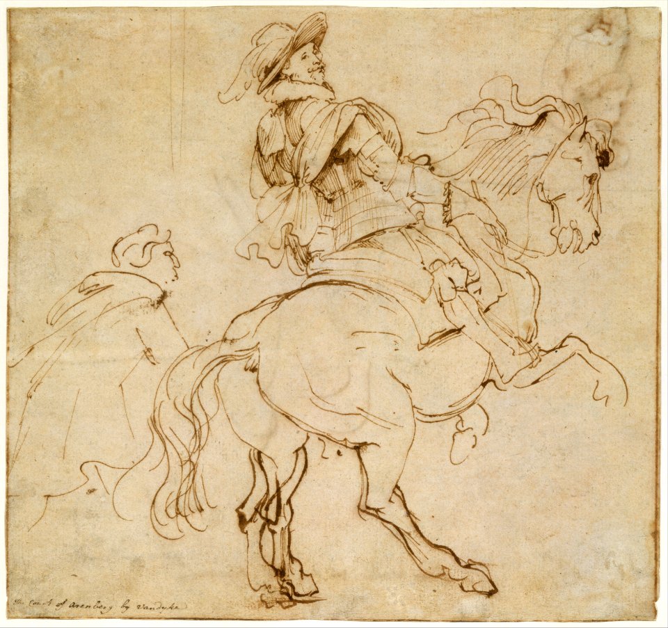 Study for an Equestrian Portrait, Possibly that of Albert de Ligne, Count of Arenberg; verso- Various Studies of Statues and Figures, Including the Venus Pudica and Scipio and his Lictor MET DT11817