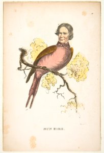 Sun Bird (James S. Wallace), from The Comic Natural History of the Human Race MET DP813071