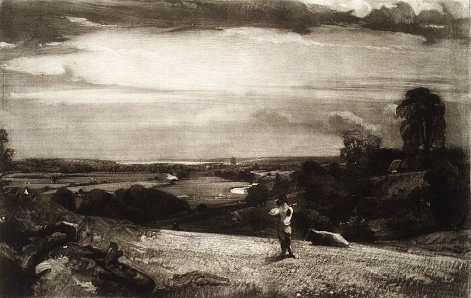 Summer Morning MET dp39.68.27.R