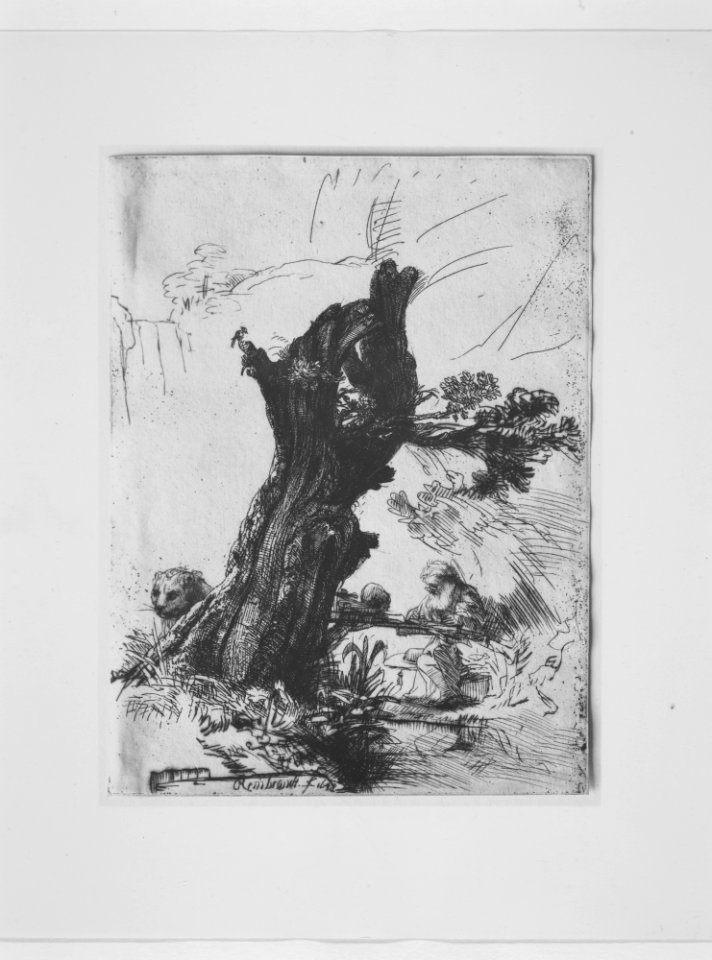 St. Jerome beside a Pollard Willow MET MM2397