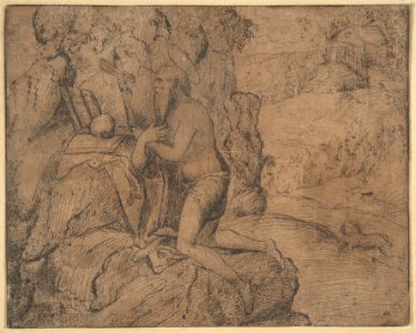 St. Jerome in a Landscape MET DP802133