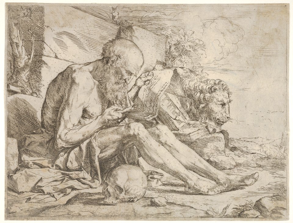 St. Jerome seated on the ground and reading an inscribed scroll, a skull next to his right leg and a lion beyond MET DP832641