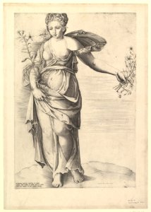 Speculum Romanae Magnificentiae- Flora MET DP820880