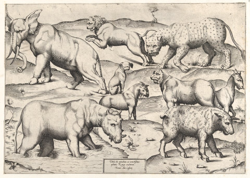 Speculum Romanae Magnificentiae- Wild Animals, from antique wall paintings, plate 2 MET DP870313