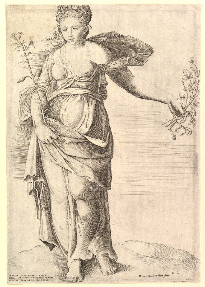 Speculum Romanae Magnificentiae- Flora MET DP820878