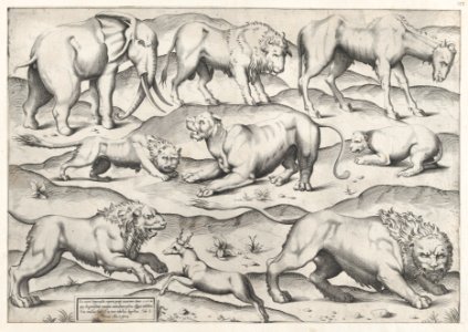 Speculum Romanae Magnificentiae- Wild Animals, from antique wall paintings, plate 1 MET DP870309