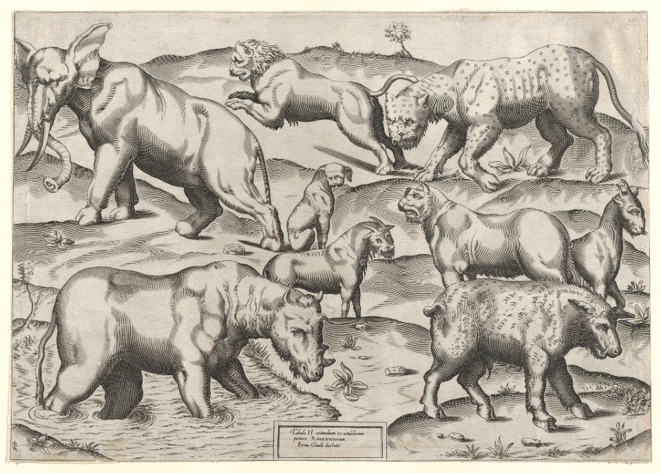 Speculum Romanae Magnificentiae- Wild Animals, from antique wall paintings, plate 2 MET DP870310