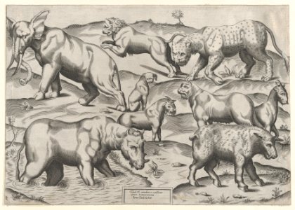Speculum Romanae Magnificentiae- Wild Animals, from antique wall paintings, plate 2 MET DP870310