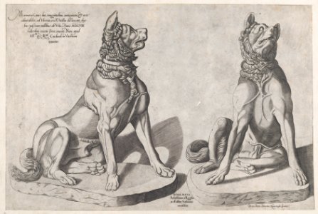Speculum Romanae Magnificentiae- Two Dogs MET DP870562