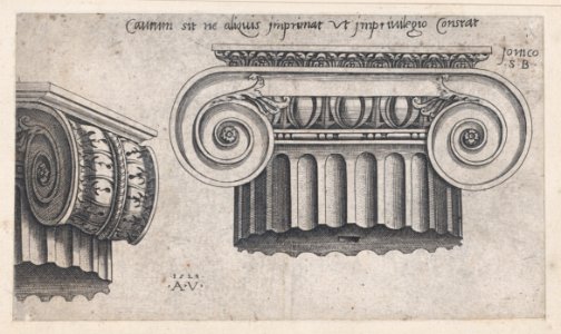 Speculum Romanae Magnificentiae- Ionic Capital MET DP870182