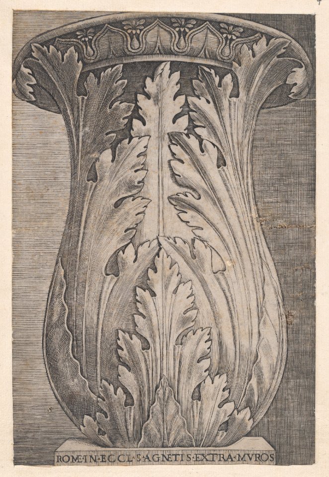 Speculum Romanae Magnificentiae- Vase Encircled by Acanthus Leaves MET DP870071