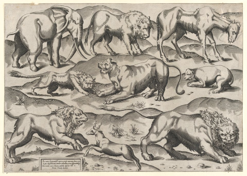 Speculum Romanae Magnificentiae- Wild Animals, from antique wall paintings, plate 1 MET DP870311